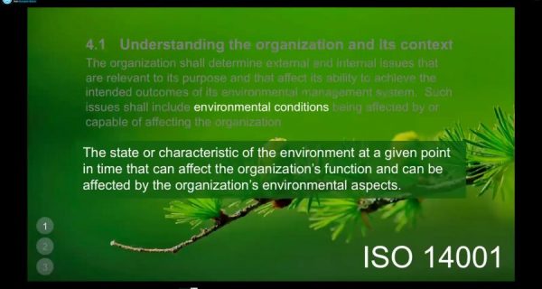 Understanding the Organization and Its Context