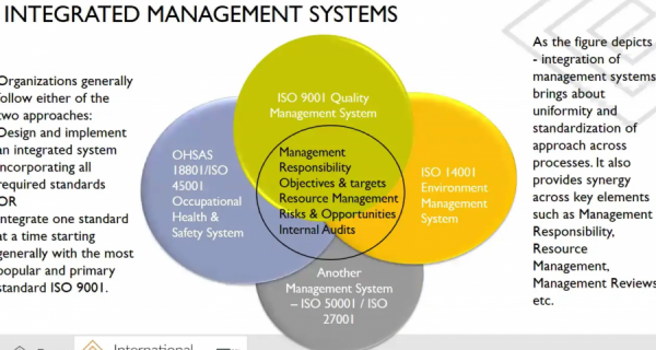 Challenges of Conducting an Integrated Audit