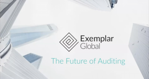 The Future of the Auditing Profession